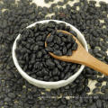 ALIBABA USED EXCLUSIVELY Small Black Beans (GF4)